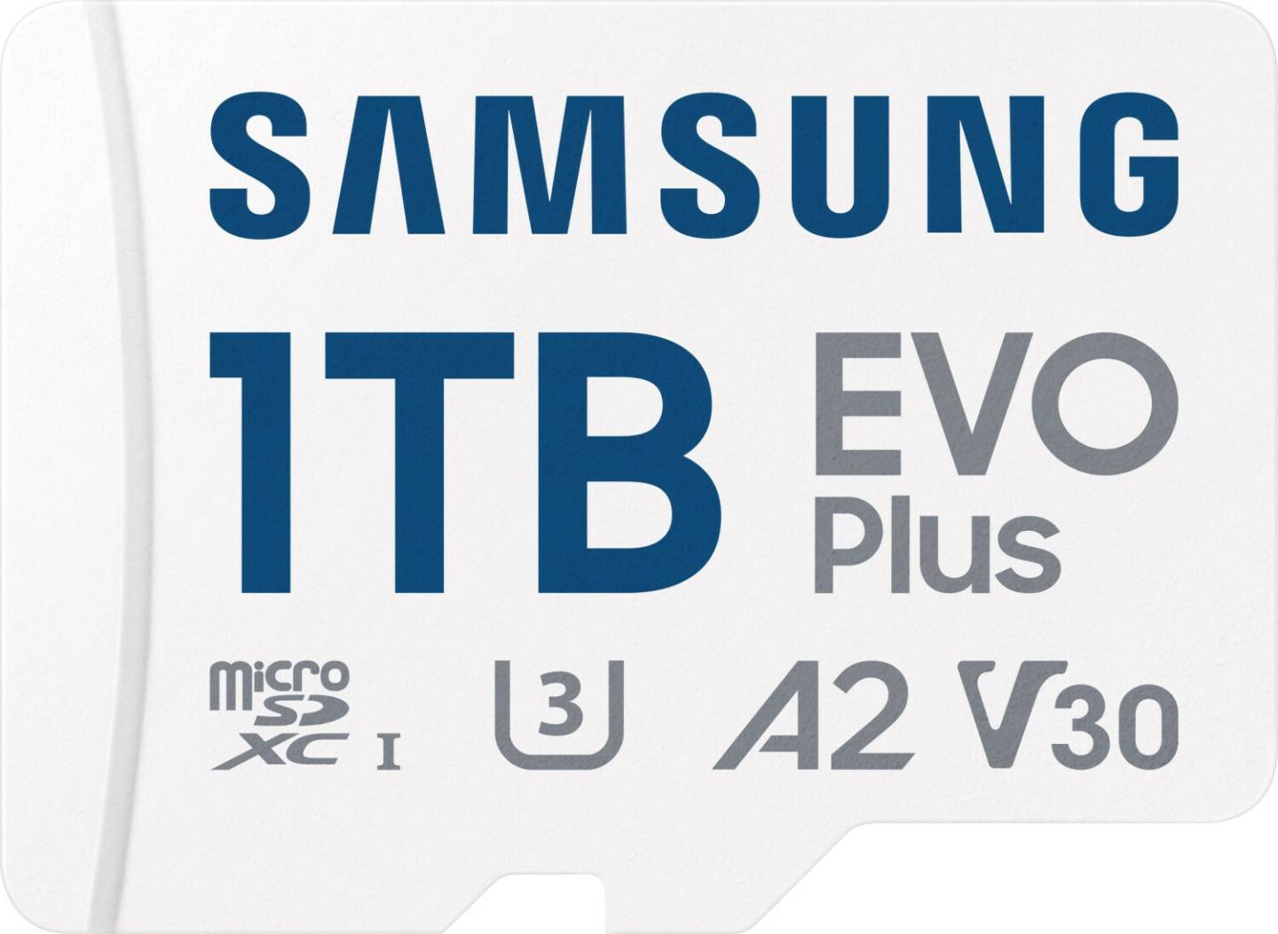 Samsung Evo Plus (2024) microSDXC1TB (MB-MC1T0SA) Kamera-Zubehör